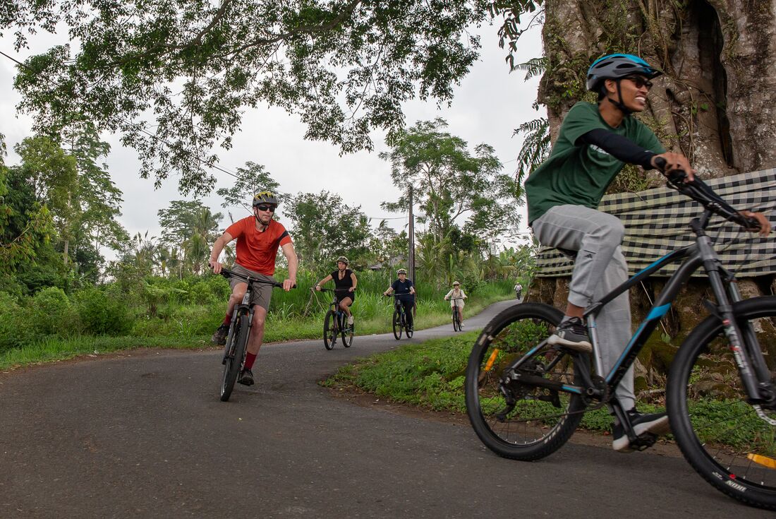 Intrepid Travellers on a cycling tour in Bali