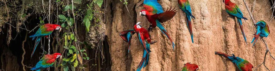 Best Ecuador Tours & Vacations 2023/2024 | Intrepid Travel US