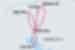 Map of Siem Reap & Angkor Wat Independent Short Break including Cambodia