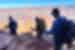 Travellers group hiking around the Grand Canyon in Arizona, U.S.A.