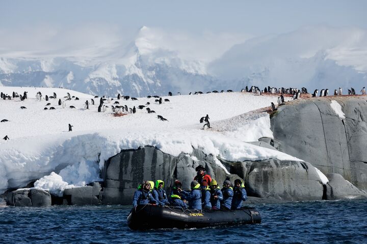 Arctic