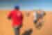 Dramatic landscapes in Sossusvlei, Namibia