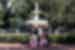 Travellers pose for a group shot in front of the Forsyth Park Fountain in Savannah Georgia USA