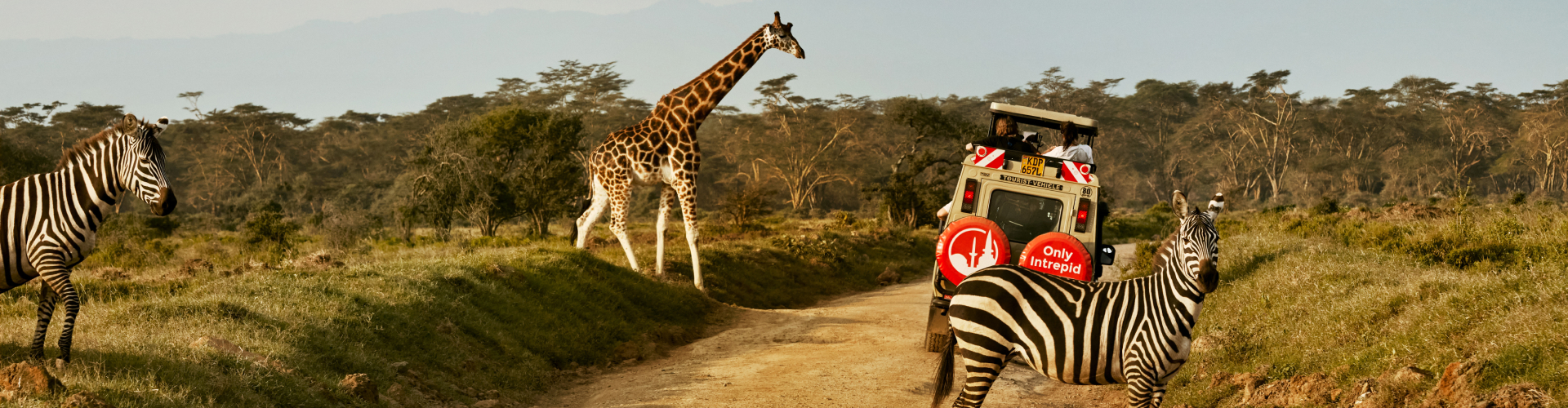 Tanzania Safari with Branded Car