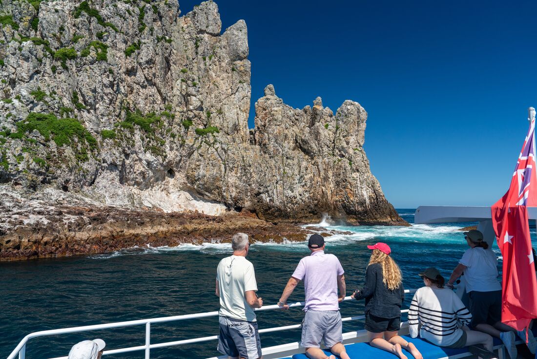 Travellers on a boat looking out at Poor Knights Islands on a clear blue sky day, New Zealand
