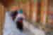 Travellers and pilgrims run their hands over prayer wheels at a Tibetan Monastery