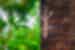 Thailand Hilltribe experience with Intrepid Travel - local wildlife