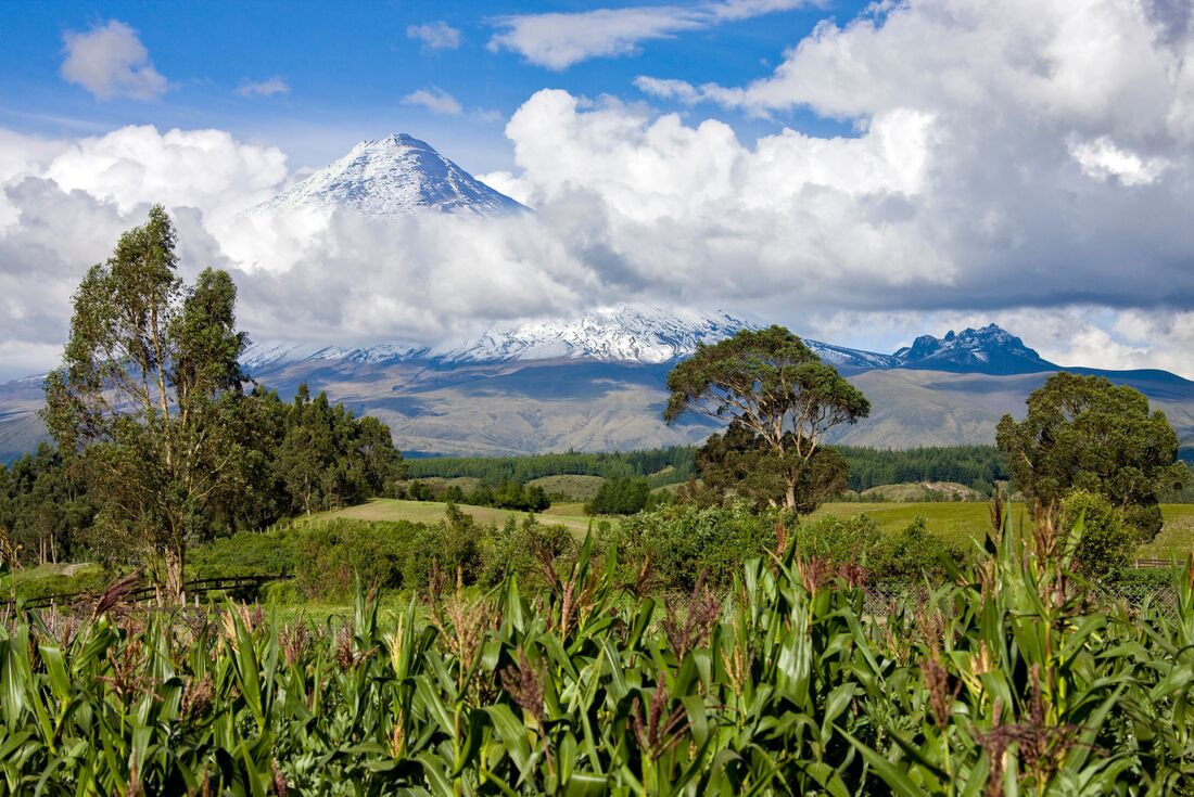 Mainland Ecuador and Galapagos Cruise