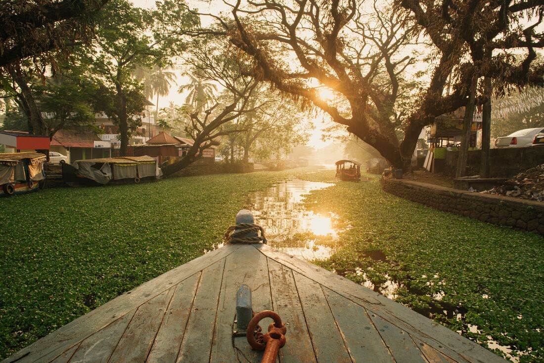 Punt boat cruise through the charming greenery canals and streams of Kerala backwaters