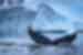 Humpback whale's tail sticking out of the water with Giant petrel in the distance in Antarctica
