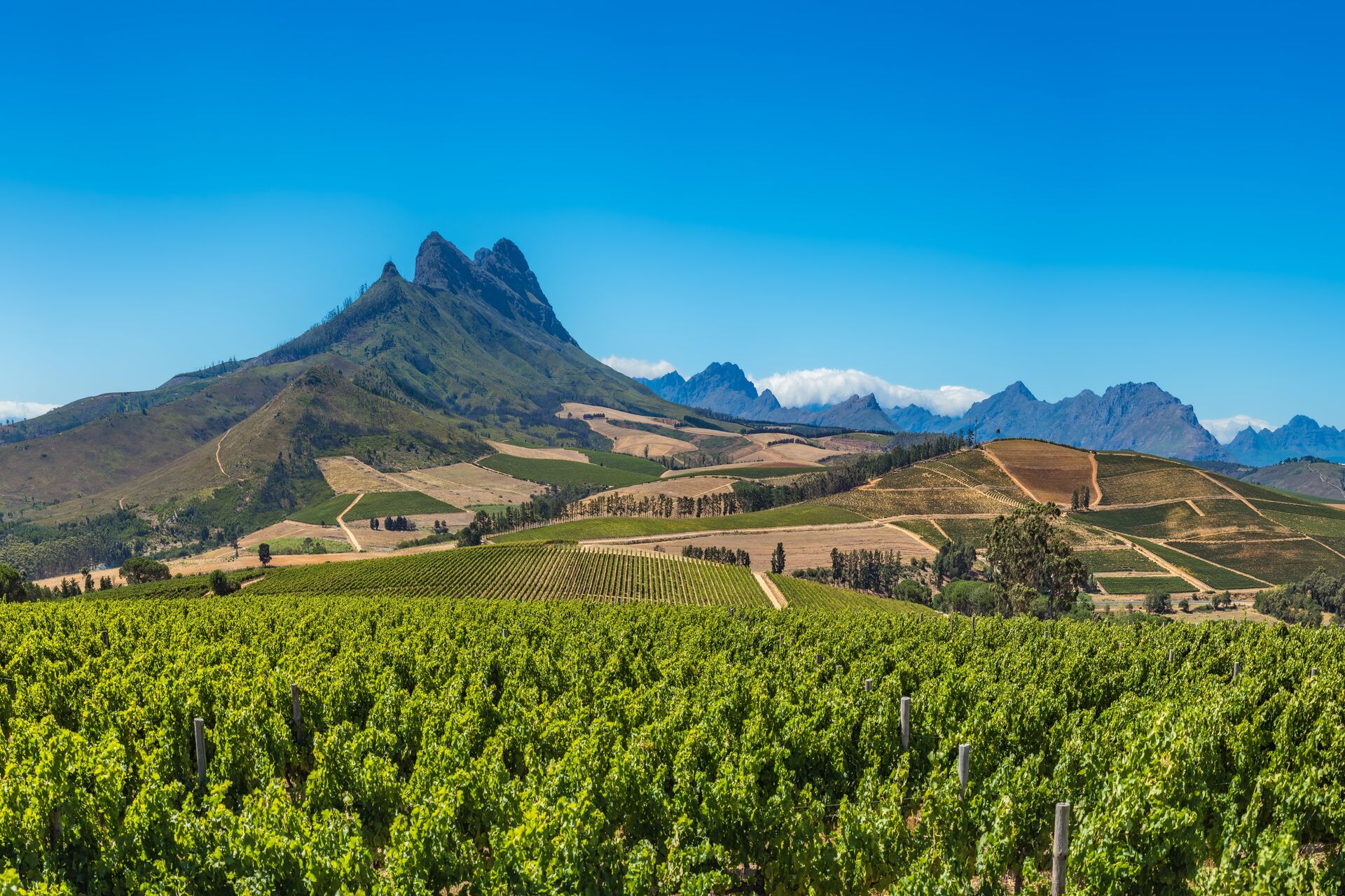 Cycle through the majestic winelands of Franschhoek north of Capetown, surrounded by vineyards 
