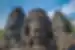 TKPC - Close up of stone faced Bayon temple located in Angkor Thom