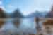 Traveller standing on shore, Milford Sound, Fijordland NP, New Zealand