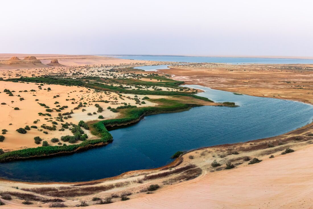 The green gilded waters of the Fayoum Oasis in the Egyptian desert