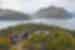 Group of travellers standing on a hill with the beautiful Lake Wanaka in the background in Wanaka, South Island, New Zealand
