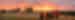 Group look at sunset in Val d'Orcia hills in Tuscany